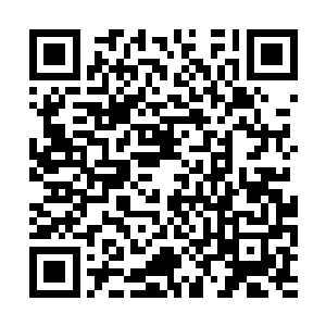 虽然说西陵镇南王曾经败于大楚摄政王墨流芳之手二维码生成