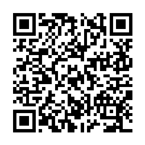 虽然说这一次云瑶历练带回来了不少的珍贵的药材二维码生成