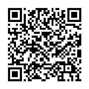 虽然说这一次龙傲天给了锦鲤一族十滴玄黄圣液二维码生成