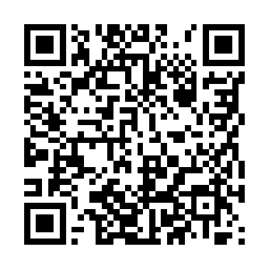 虽然说这个黑衣人身上中了毒战斗力被压制了不少二维码生成