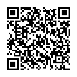 虽然说这利益相比于太上仙王的强者来说不算什么二维码生成