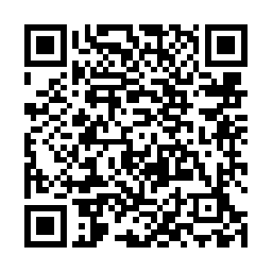 虽然说那头找麻烦的大乘期妖兽并不是他们中最强大的二维码生成