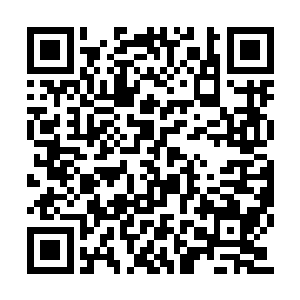 虽然说除了仙王强者之外几乎没有人了解君王殿二维码生成