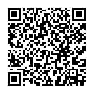 虽然说龙傲天之前的时候交代过了不能够随意的透露关于他的事情二维码生成
