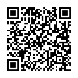 虽然说龙傲天对于击杀这些妖兽没有什么心理负担二维码生成