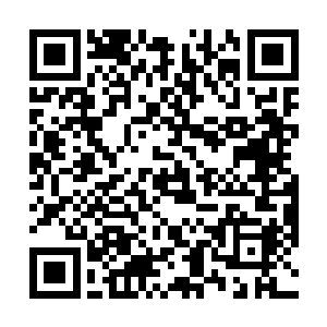 虽然说龙傲天给陆青的无名功法无法跟万法金身诀相比二维码生成