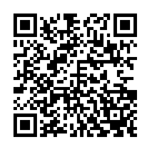 虽然说龙傲天能够感觉到自己跟木源珠的联系越来越密切二维码生成