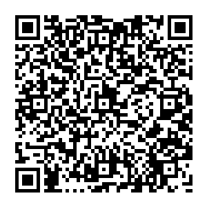 虽然赵纯良有很多张可以无限透支的卡 但是那些钱在赵纯良看來是属于赵家的 而赵家是赵家 他是他二维码生成