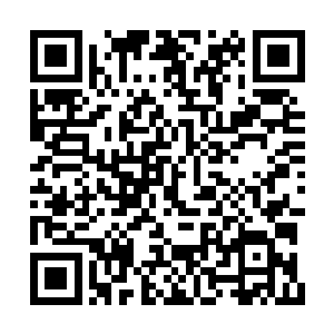 虽然赵虎非常不乐意这样跟畜生打斗一样的动作二维码生成