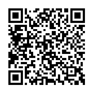 虽然这三个佣兵团的总人数加起来足足有数百人二维码生成