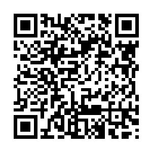 虽然这两组歌手分别是节奏蓝调和摇滚的代表人物二维码生成