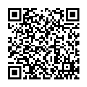 虽然这个理由有点……但总比他一直对司徒叫嚣着二维码生成