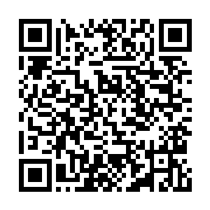 虽然这个雕像几乎看不出来雕琢的是哪一种生物二维码生成