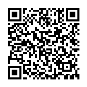 虽然这些力量没有像碧玉盒子里的人参一样外溢二维码生成