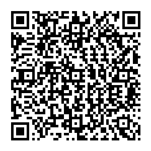 虽然这些助理人选一部分在担任一段时间之后转而经过各县市区的人大常委会任命为政府副职二维码生成