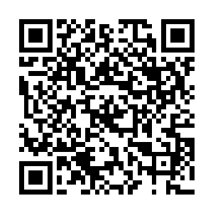 虽然这些战胜军的平均个体实力远远不如那些随军强者二维码生成