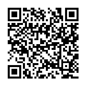 虽然这些数量的修士对整个围剿之战并不算是太多二维码生成