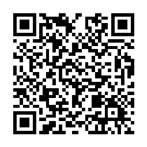 虽然这些细小的仙之力攻击看不出来有什么特殊的二维码生成