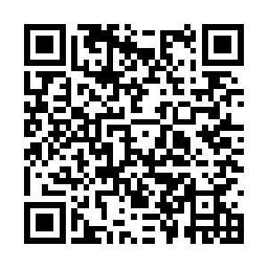 虽然这些野狗暂时被我威风神武的风采所倾倒着迷二维码生成