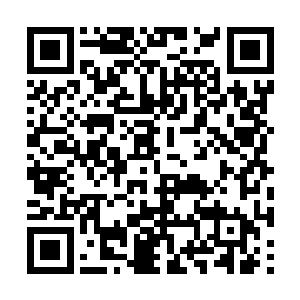 虽然这位城主对染儿他们之前的事做的不是很地道二维码生成