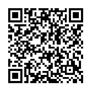 虽然这只巨龟在芯片的扫描当中已经有了四级的晨星实力二维码生成