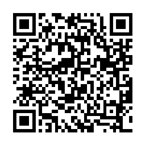 虽然这名看不清容貌的女子没有散发出半点气势出来二维码生成