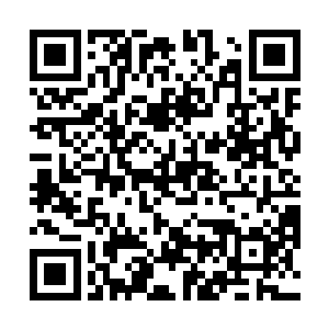 虽然这小家伙因为涅槃的关系比一般的娃儿要长得大些二维码生成