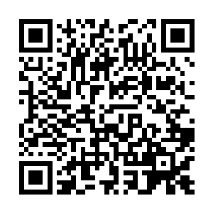 虽然这架滑翔机肯定不会像他在海中控制自己的身体一样二维码生成
