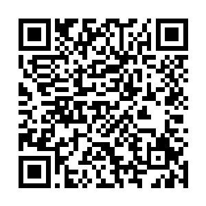 虽然这样一来对于整个傲龙会的经济来说都会下降不少二维码生成
