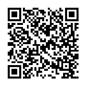 虽然这次出现的人和两年前的无云看起来区别很大二维码生成