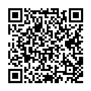 虽然这次泰国拍摄之旅最后发生了意外但也算是完美的落幕了二维码生成