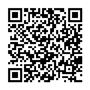 虽然这种初赛算是林辰见过有史以来最为奇葩的比试二维码生成