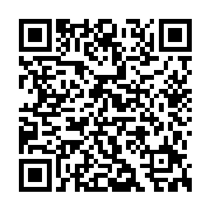 虽然远不如天生绝脉的莫珊珊和特殊体质的沈冰二维码生成