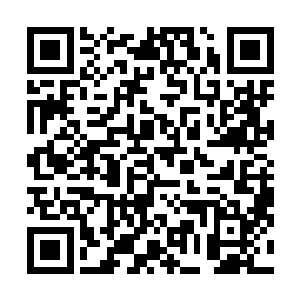 虽然迷雾巨人在上古的六级生物当中也不是什么高级货色二维码生成