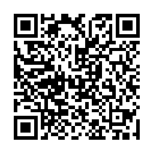 虽然那一头帝王之虫已经被当成是重要的证物交了上去二维码生成
