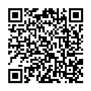 虽然那个昌南中药材专业市场听说生意相当兴隆火爆二维码生成