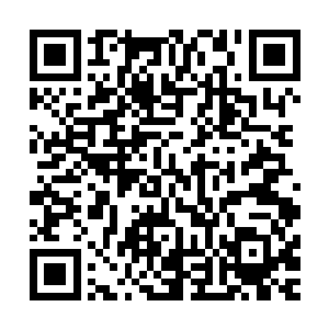 虽然那些人也是各有萌点吧……不过比起白兰变成中二神经病二维码生成