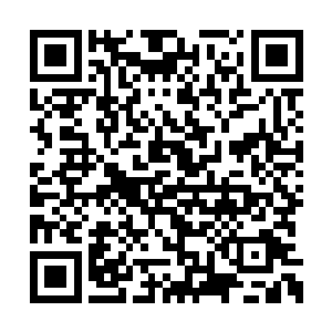 虽然那些法术相对这个庞然大物而言如同毛毛雨二维码生成