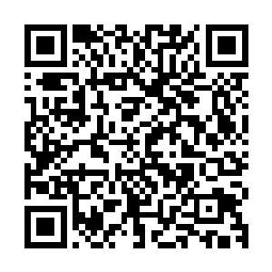 虽然那些泥巴坨坨在她眼里都是脏污和要洗一大堆衣裳的代名词二维码生成