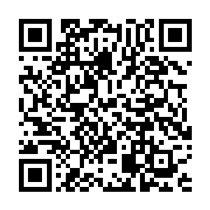 虽然那天回来的时候因为被宗宝打了个岔气氛轻松了不少二维码生成