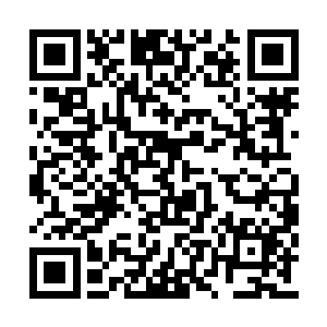 虽然都说那天朱家老祖宗过寿将军府的姑娘去了二维码生成