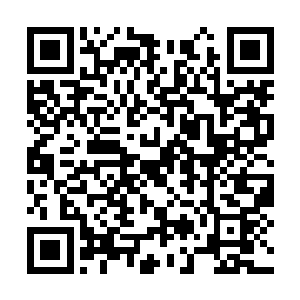 虽然闻人牧月最终选择了和秦纵横一起来对付白家二维码生成