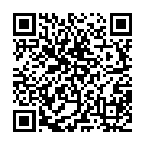 虽然陈小练和罗迪夏小雷都表示了他们愿意贡献出自己的点数二维码生成