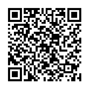 虽然雇佣丹尼那人保证跟着殷琪琪的那位强者不会干涉二维码生成