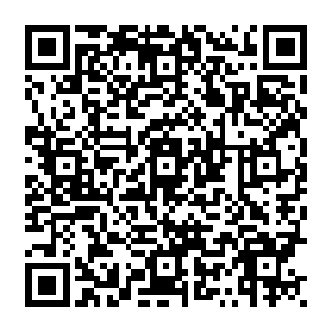 虽然雨果曾经观看过2002年第七十四届奥斯卡乌比以一身火鸡装从天而降的惊悚画面二维码生成