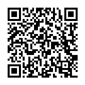 虽然风暮寒从未主动向她解释过这次罢官风波的缘由二维码生成