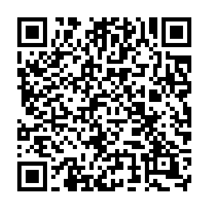 虽然飞的慢一点但是运输能力几乎比得上冷战时期的战略运输机了二维码生成