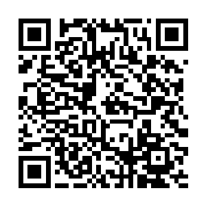 虽然马文大致和他讲述了一遍第七座塔中发现的故事二维码生成