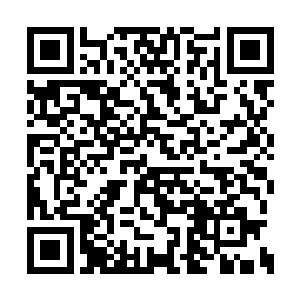 虽然麻无忌这一年来也算是和自己站在一条线上二维码生成