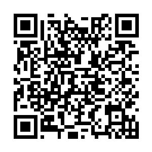 虽然黄色潜水艇被认为是八强当中实力最弱的球队二维码生成